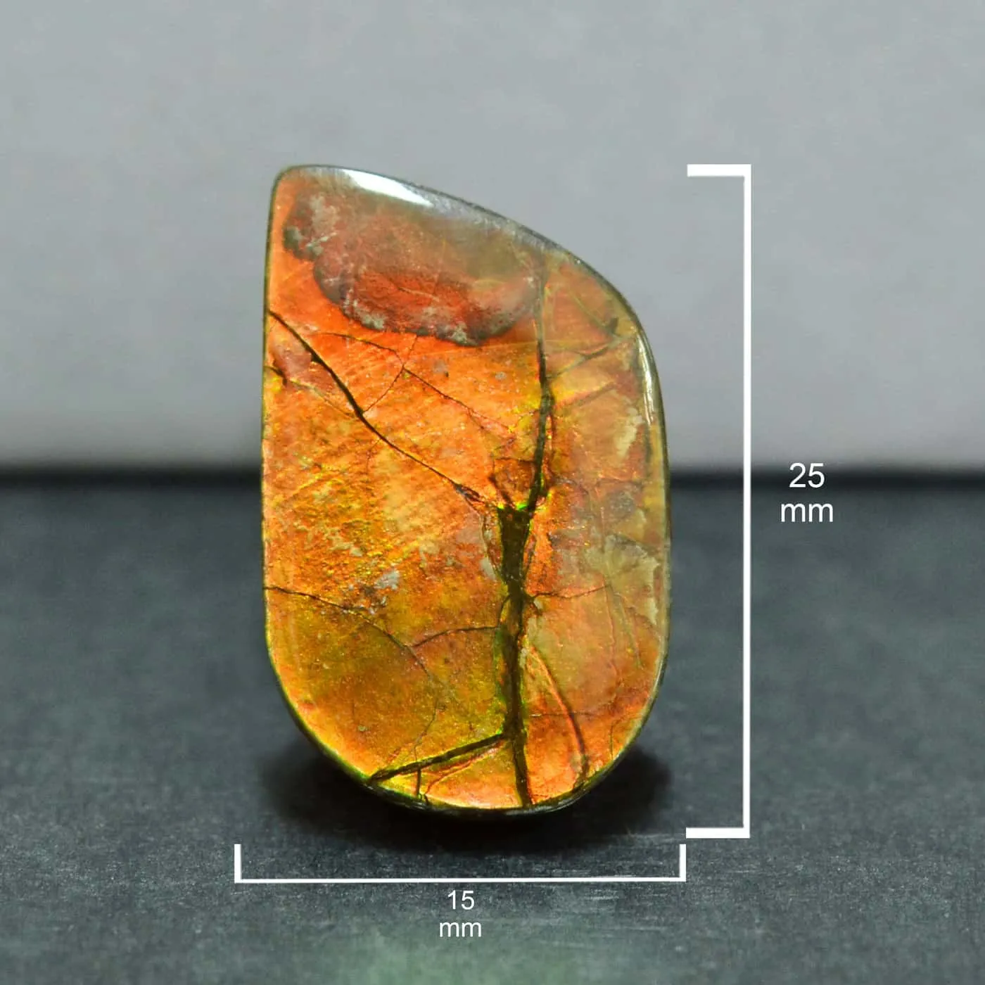 Ammolite Free-Form Cabochon 25mm - 1 piece