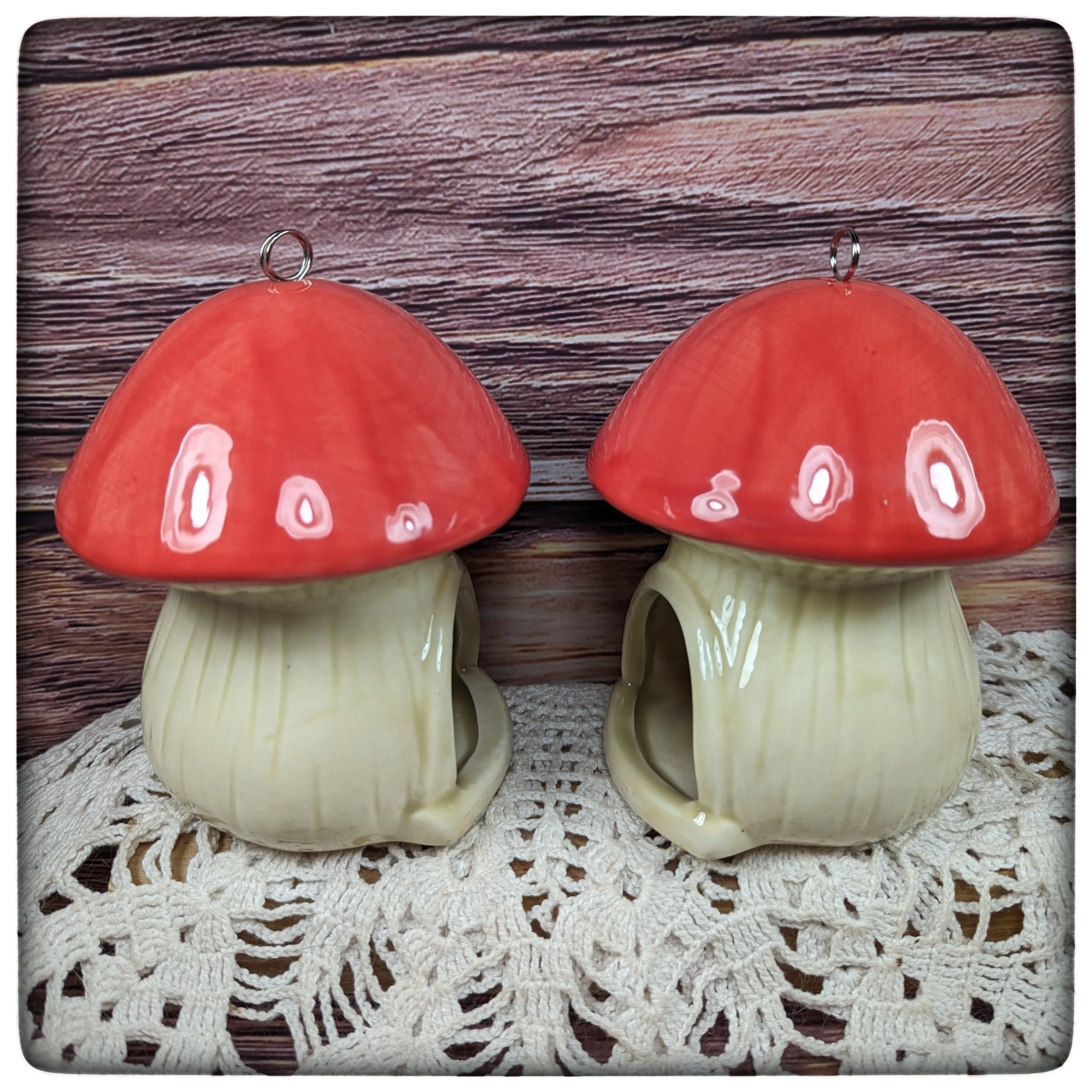 Birdfeeder (mushroom)