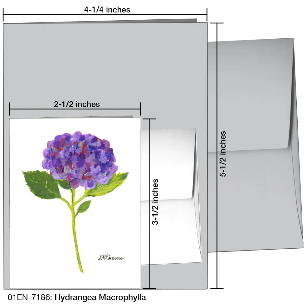 Hydrangea Macrophylla, Greeting Card (7186)