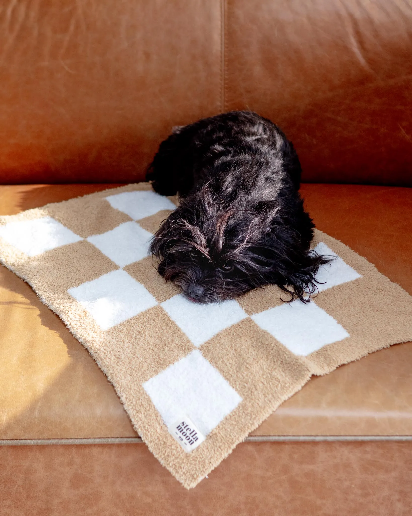 Luxe Check Dog Blanket in Sand