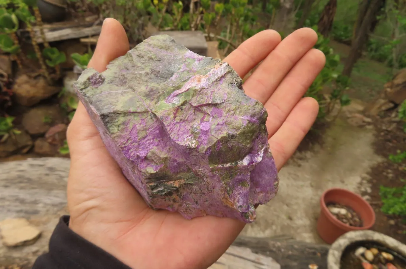 Natural Stichtite Cobbed Specimens x 6 From Barberton, South Africa