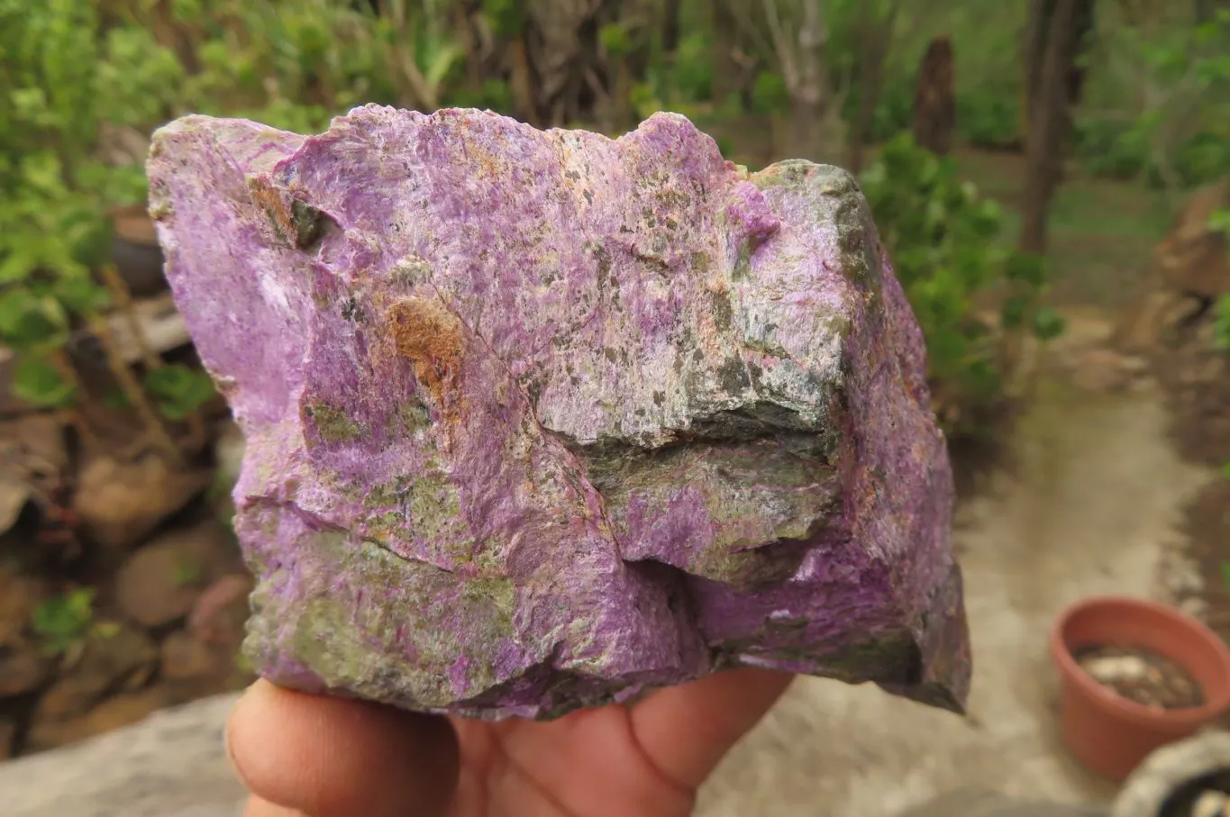 Natural Stichtite Cobbed Specimens x 6 From Barberton, South Africa