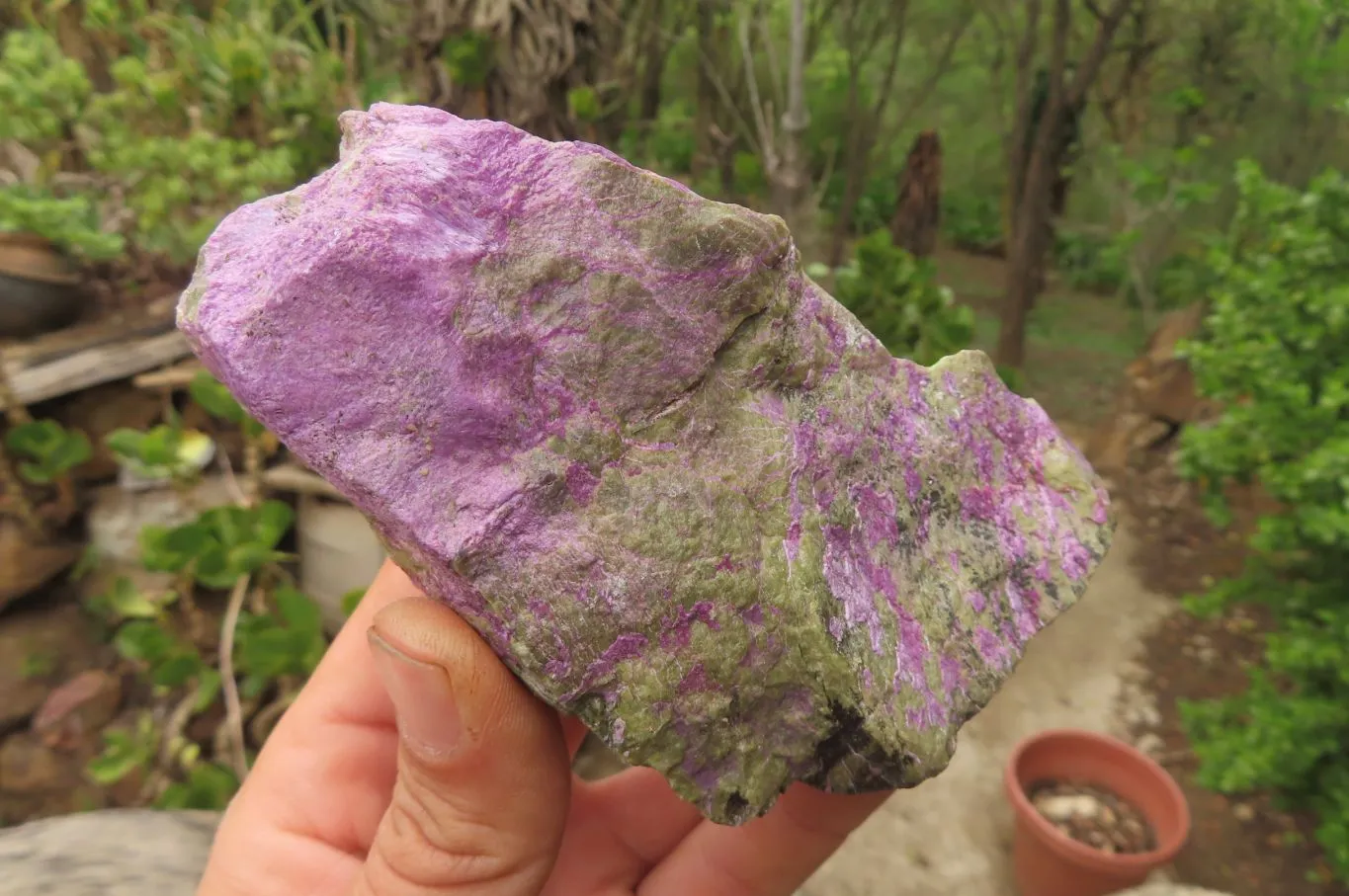 Natural Stichtite Cobbed Specimens x 6 From Barberton, South Africa