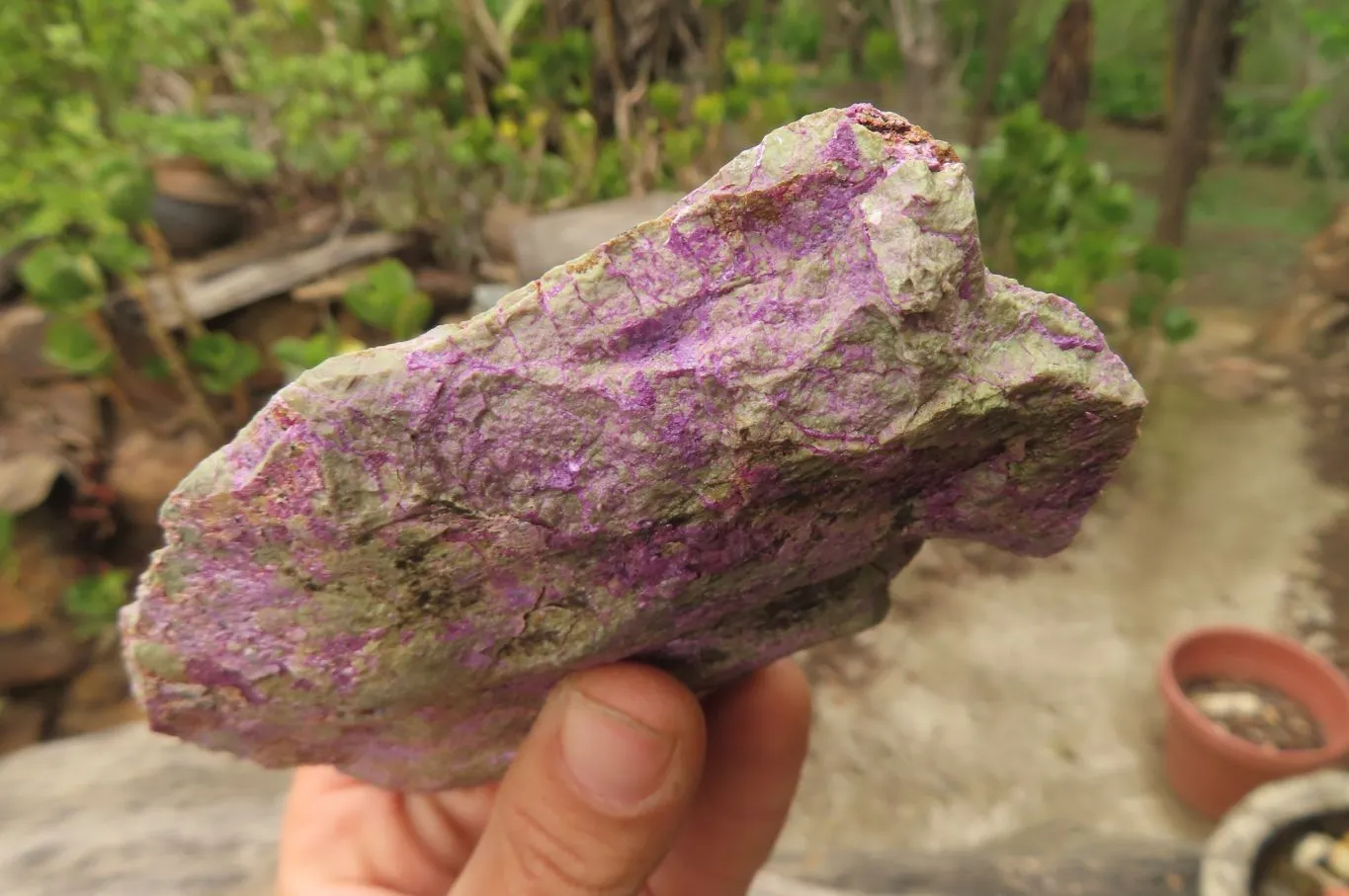 Natural Stichtite Cobbed Specimens x 6 From Barberton, South Africa