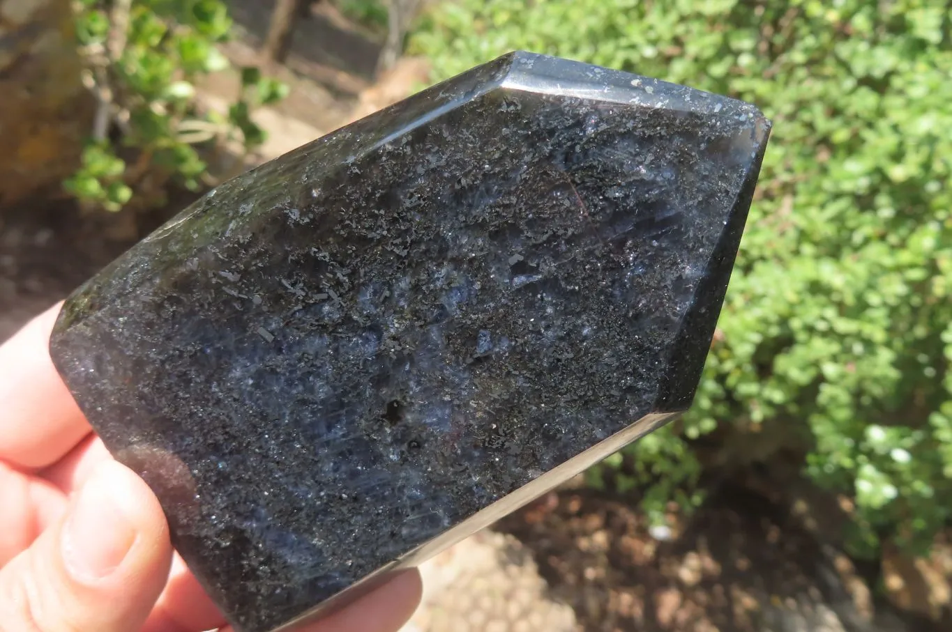 Polished Iolite Water Sapphire Points x 3 From South Africa