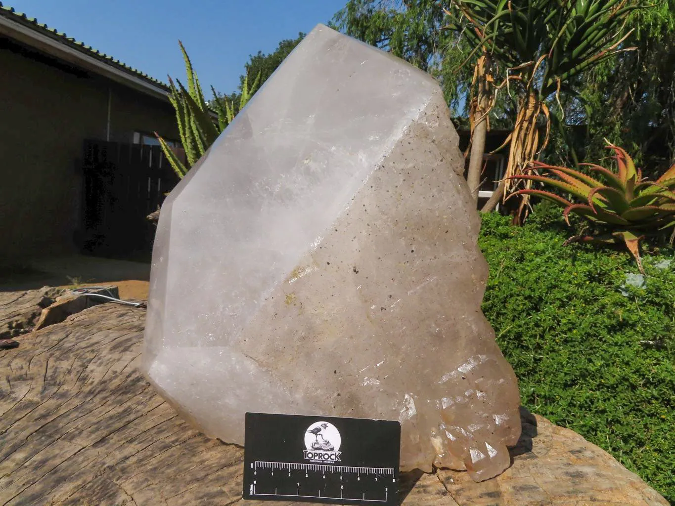 Polished On Facets and Natural Extra Large Elestial Pentium Quartz Crystal x 1 From Mozambique