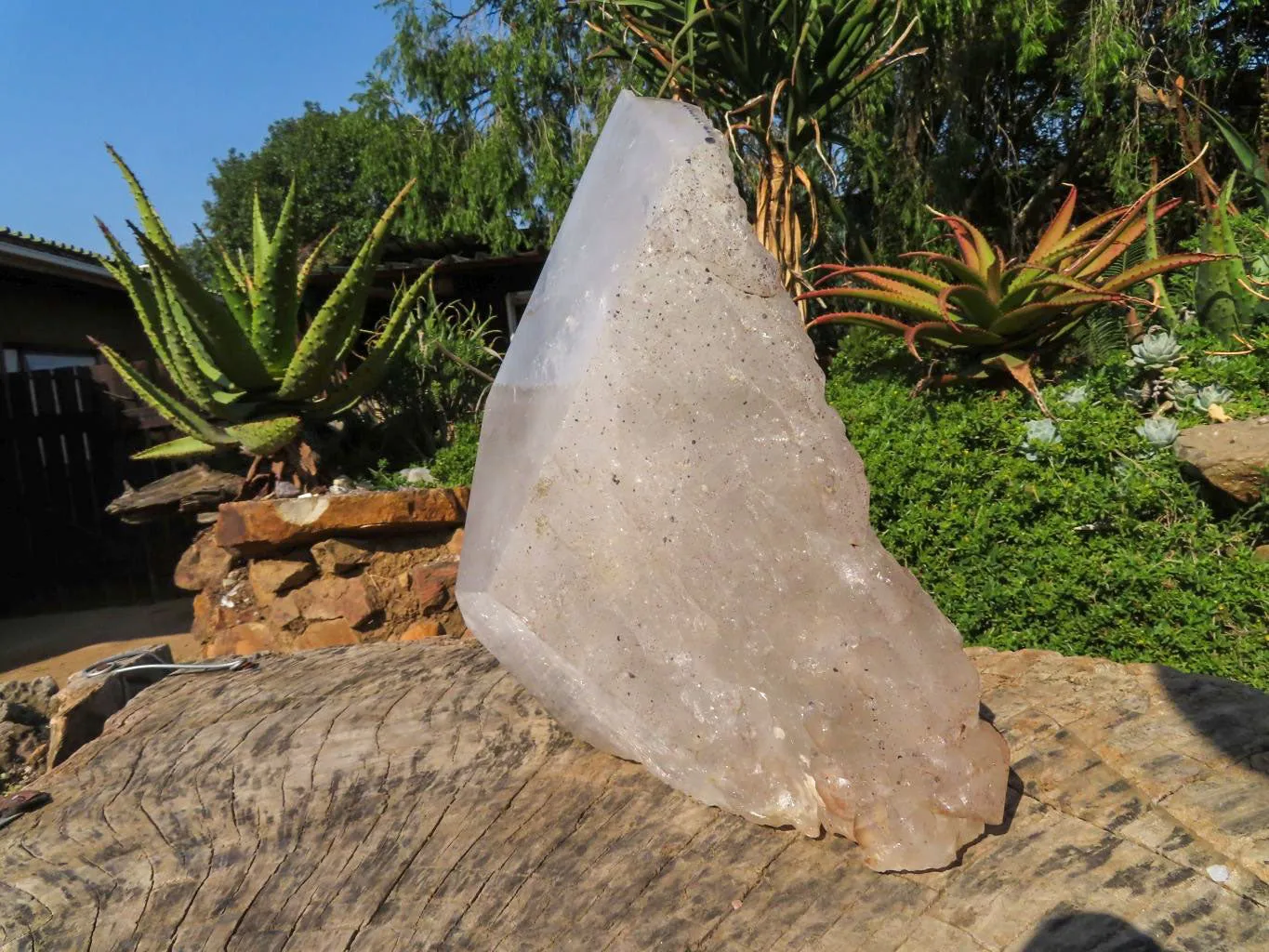 Polished On Facets and Natural Extra Large Elestial Pentium Quartz Crystal x 1 From Mozambique