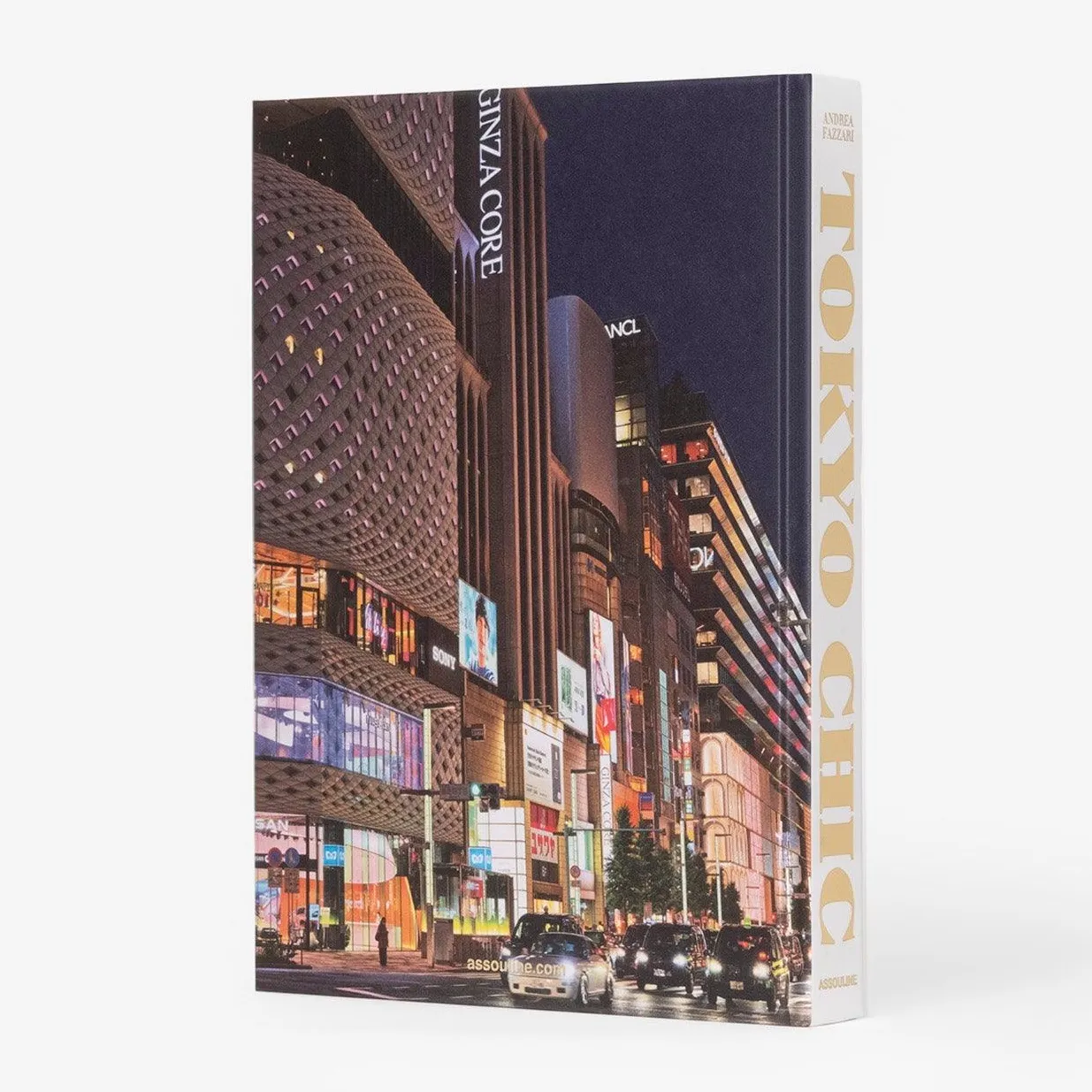 "Tokyo Chic" Book