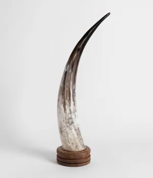 Rose and Fitzgerald Ankole Horn Object on Round Base