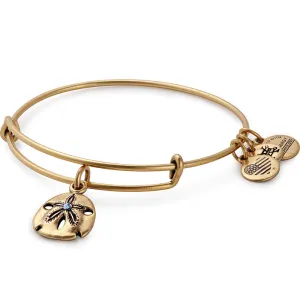 Sand Dollar Charm Bangle