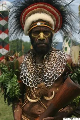 Unique, Rare 3-Tier Sing-Sing Festival Pristine Nassa Shells & Seed Beads Bilas Pectoral Adornment, Necklace Ornament from the Highlands of Papua New Guinea, NECK5, collected in late 1900’s.